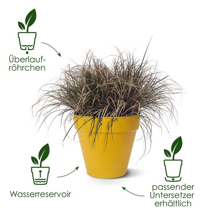 loft urban rund 20cm lavendel lila